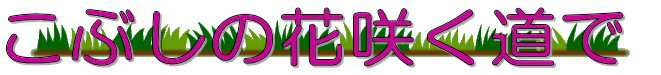 こぶしの花咲く道で 